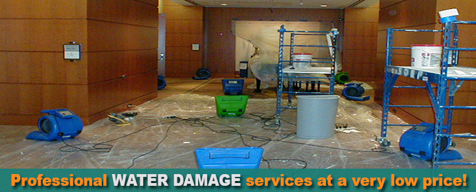 page-water-damage